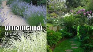 18+ Stunning Front Yard Ideas That Transform Your Curb Appeal