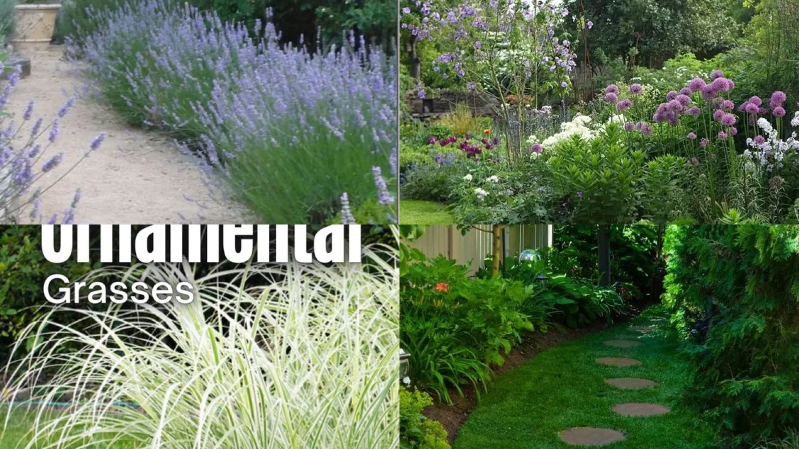 18+ Stunning Front Yard Ideas That Transform Your Curb Appeal