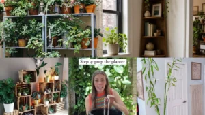 15+ Genius Plant Shelf Setup Ideas Guys Actually Want