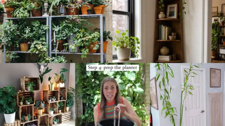 15+ Genius Plant Shelf Setup Ideas Guys Actually Want