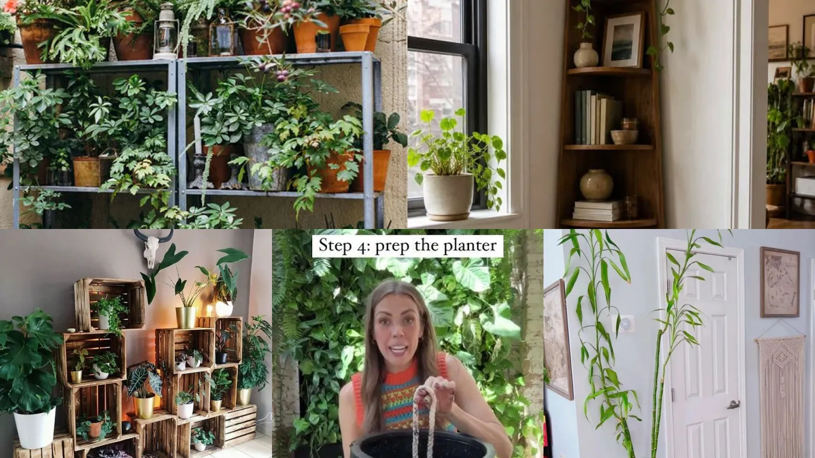 15+ Genius Plant Shelf Setup Ideas Guys Actually Want