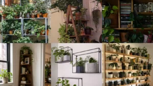 15+ Genius Plant Shelf Setup Ideas Guys Actually Want